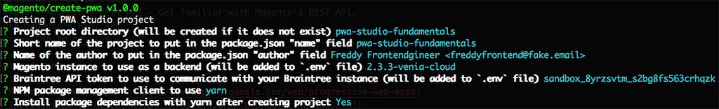 Magento PWA Studio terminal, storefront project, project dependencies
